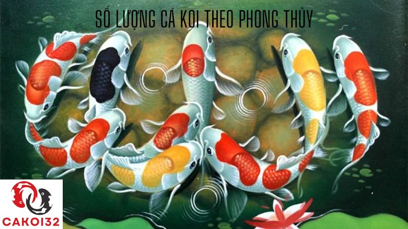 số lượng cá koi theo phong thủy