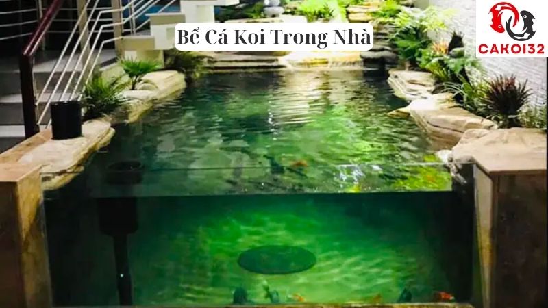 Bể Cá Koi Trong Nhà