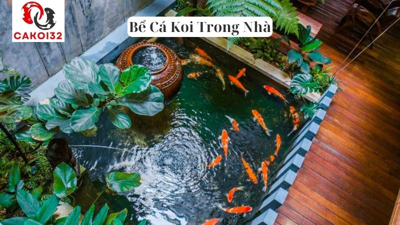 Bể Cá Koi Trong Nhà