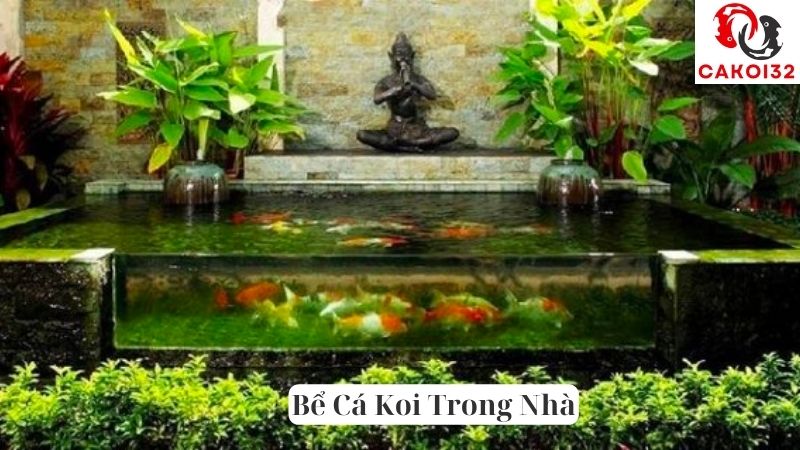 Bể Cá Koi Trong Nhà