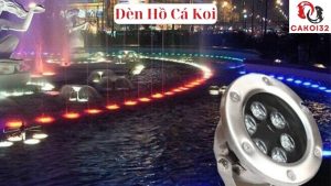 Đèn Hồ Cá Koi