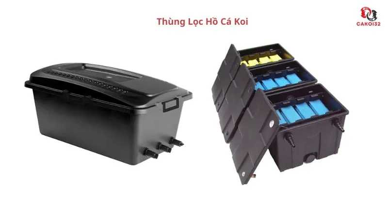 Thùng lọc hồ cá koi