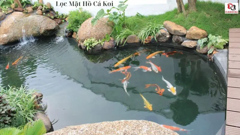 Lọc mặt hồ cá koi