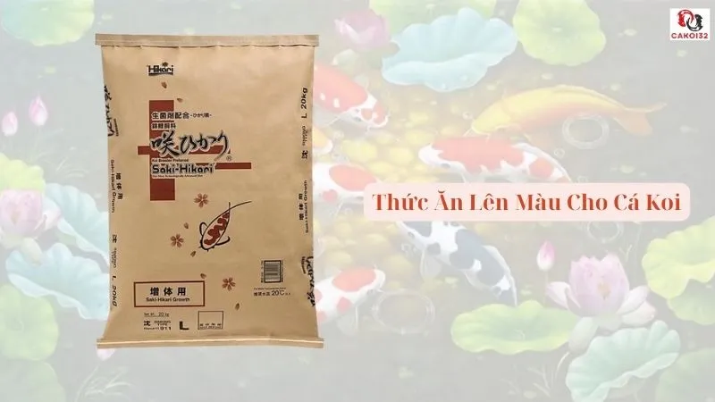 Thức ăn lên màu cho cá koi