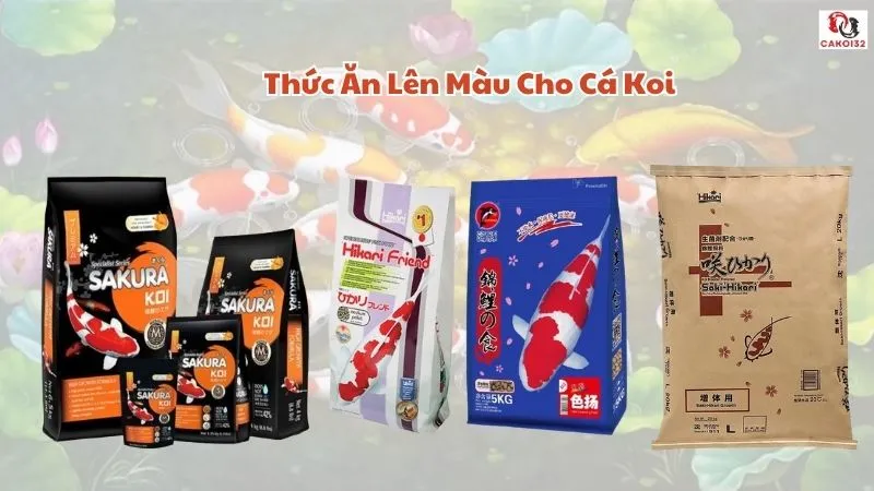 Thức ăn lên màu cho cá koi